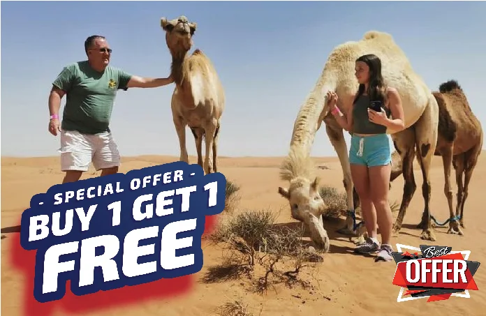 Morning Desert Safari with Camel Ride Dubai